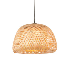 Wren ceiling pendant light image