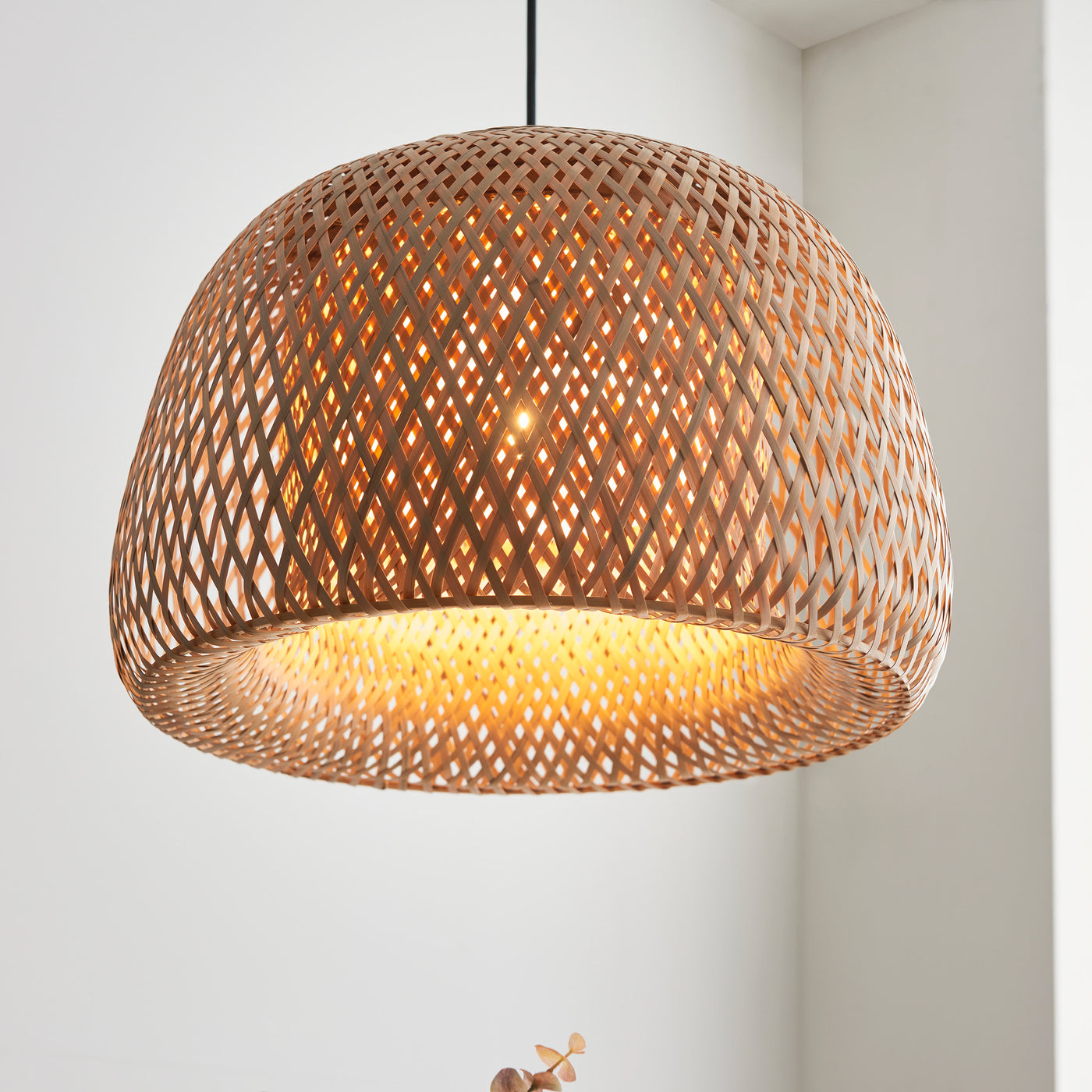 Wren ceiling pendant light image