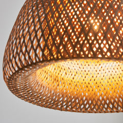 Wren ceiling pendant light image