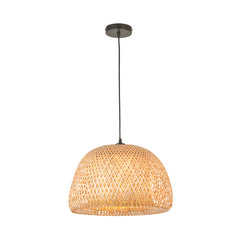 Wren ceiling pendant light image