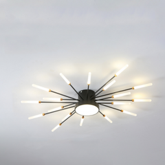 Wesley Modern Home Decoration Fireworks LED Ceiling Light - Neutralighting