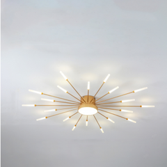 Wesley Modern Home Decoration Fireworks LED Ceiling Light - Neutralighting