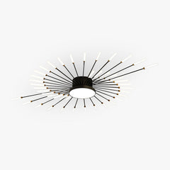 Wesley Modern Home Decoration Fireworks LED Ceiling Light - Neutralighting