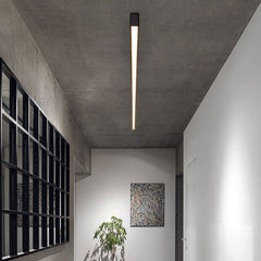 Solin Linear Black Ceiling Light/Wall Light - Neutralighting