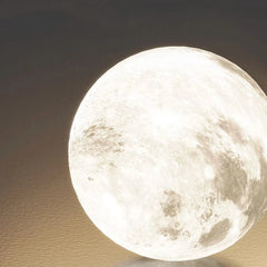 Modern LED Ring Pendant Light