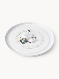 LED Ceiling Lamp Mallory