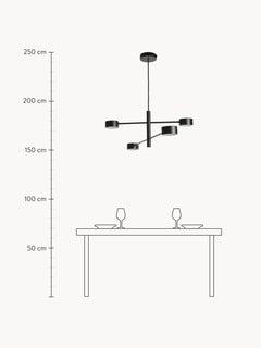 Large Dimmable LED Pendant Light Clyde