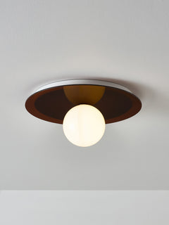 Wall & Ceiling Lamp Starling - Dark Brown