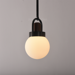 Walnut Globe Bronze Pendant