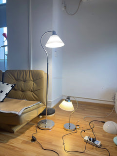 Brushed Nickel Gooseneck Floor Lamp, Cream Cone Shade, Curved Arm On A Round Base, Bedroom, Bedside & Reading Corner