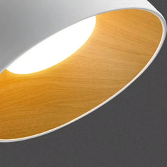 Matt Black Plaster Dome Flush Ceiling Light, Wood-Lined Interior, Angled Mount, Remote Included, 50cm, Bedroom & Living Room