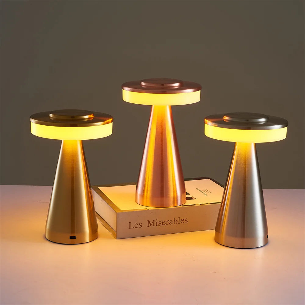 Cordless Rechargeable Metal Table Lamp, Silver Finish, Touch Control Cone Base Design, Bedside & Occasional Table