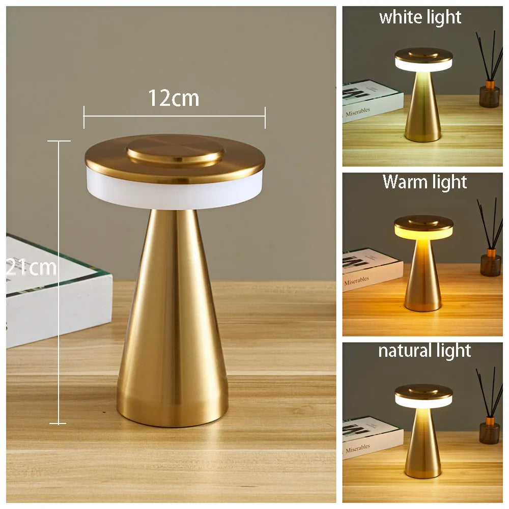 Cordless Rechargeable Metal Table Lamp, Silver Finish, Touch Control Cone Base Design, Bedside & Occasional Table