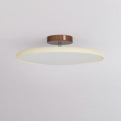 Fyne Adjustable Ceiling Light Colorful for Bedroom - Neutralighting