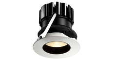 Orluna One Adjustable Downlight