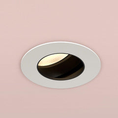Orluna One Adjustable Downlight