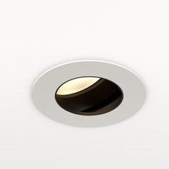 Orluna One Adjustable Downlight