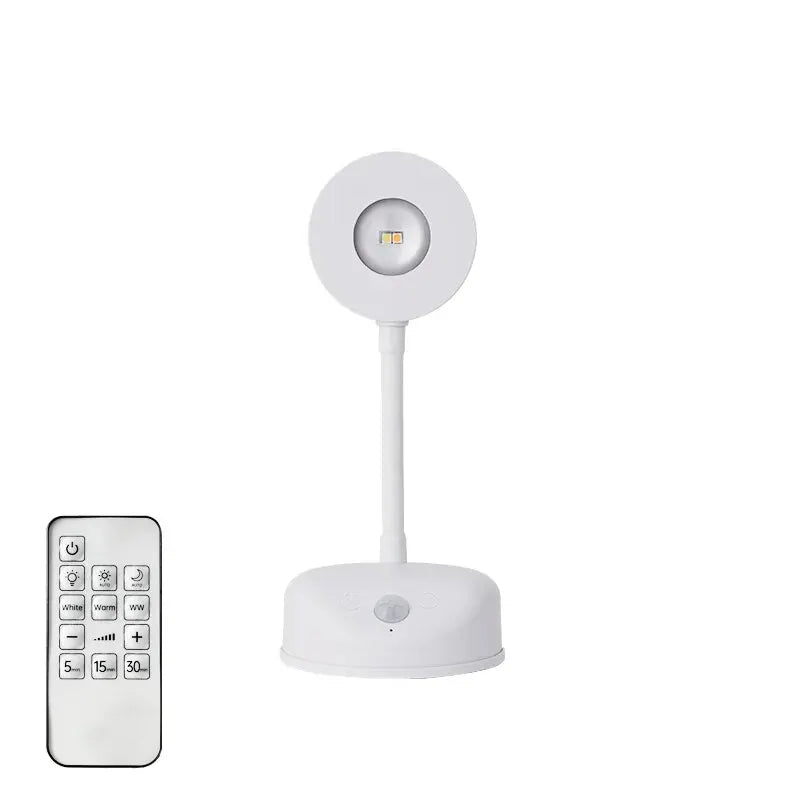 Motion Sensor Wall Light, USB Rechargeable, Night and All-Day Sensing, Optional Remote