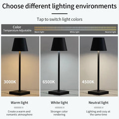 Cone Shade Table Lamp, Touch Control, Three Light Settings for Bedside, USB Rechargeable