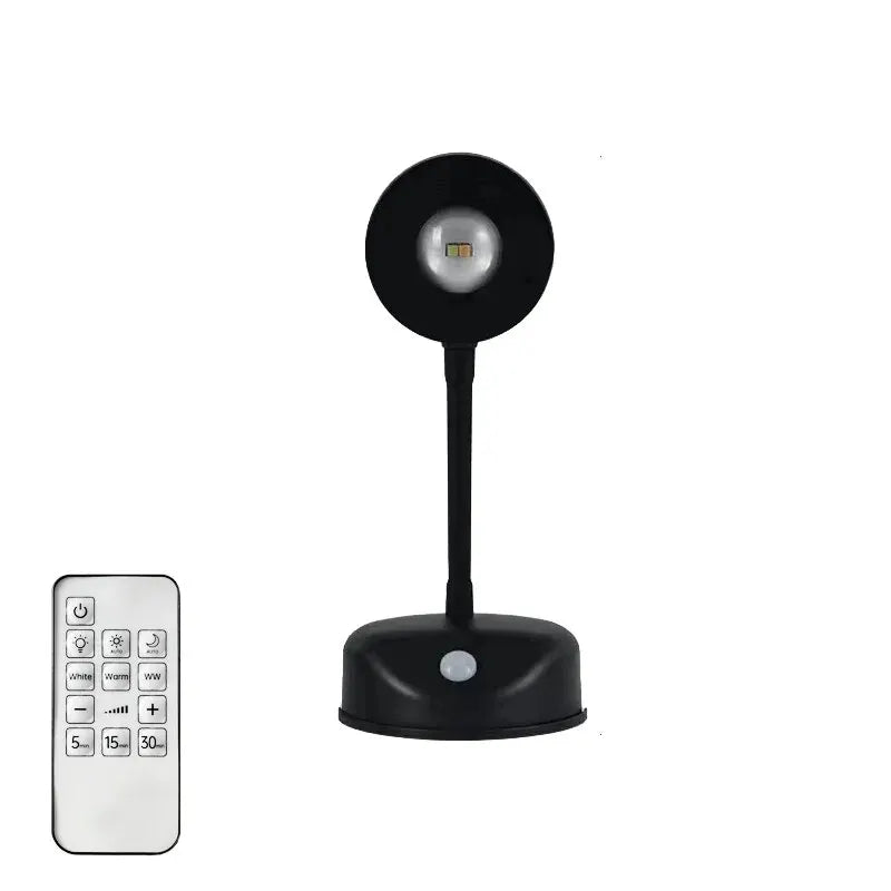 Motion Sensor Wall Light, USB Rechargeable, Night and All-Day Sensing, Optional Remote