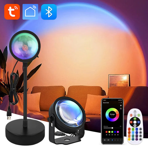 Colour & Novelty Lights