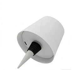 Bottle Shape Table Lamp, Touch Control, Light Settings, USB Type C Charging for Home