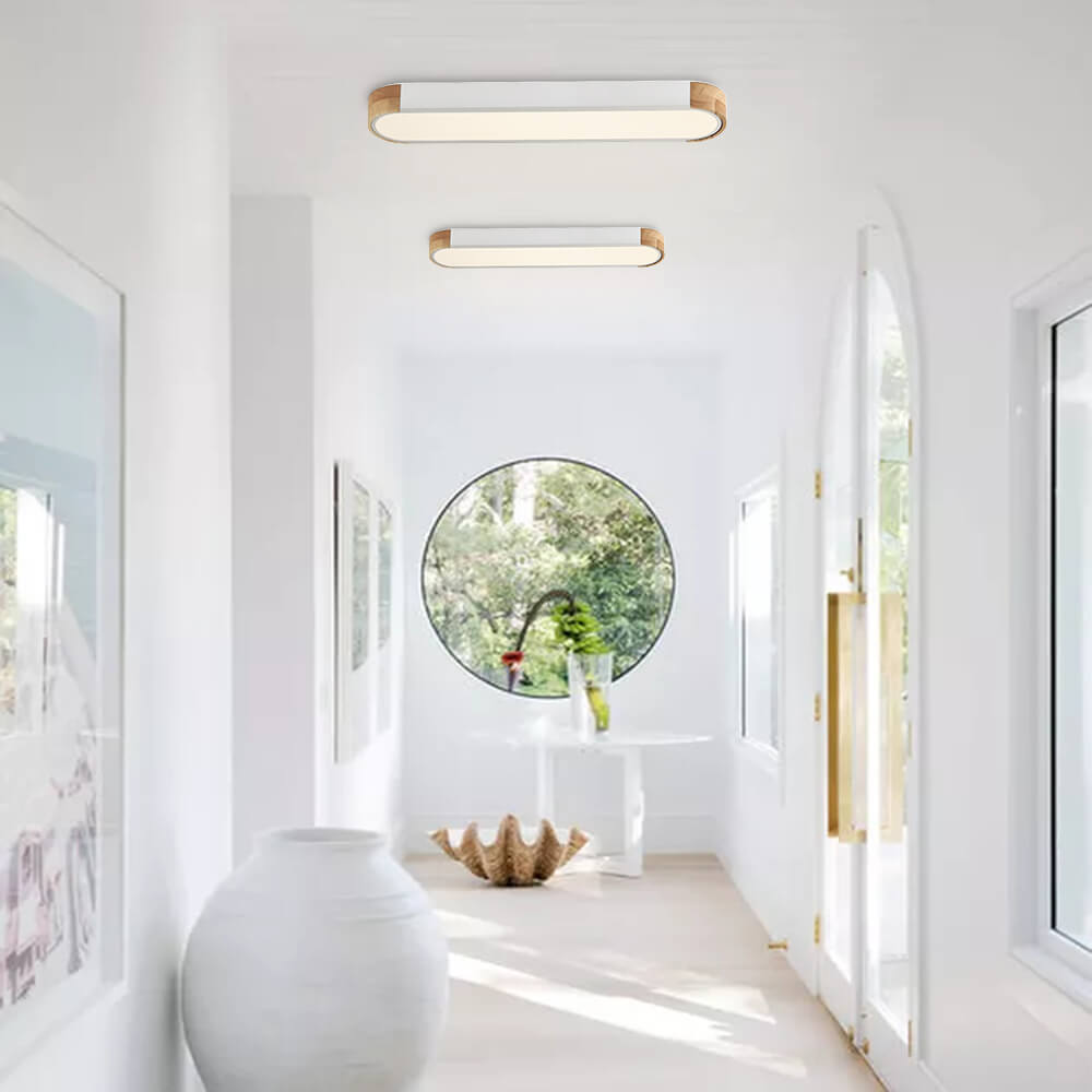 Modern Dimmable Integrated LED Ceiling Light