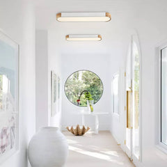 Modern Dimmable Integrated LED Ceiling Light