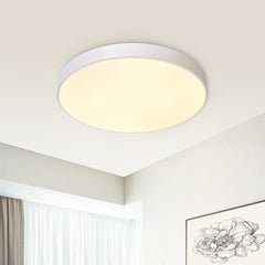 Modern Circle LED Flush Mount Ceiling Light