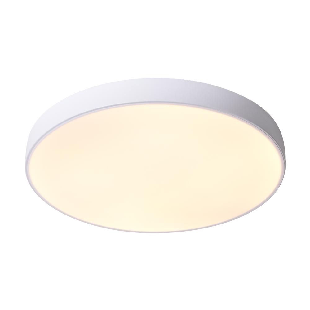 Frosted Acrylic Disc Flush Ceiling Light, Black Finish, 40cm Integrated LED, Slim Even Glow, Living Room & Bedroom