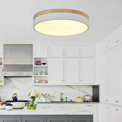 Modern LED Flush Mount Drum Light