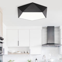 Modern Black LED Ceiling Light Fixture