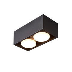 2-Light LED Mini Flush Mount Ceiling Light