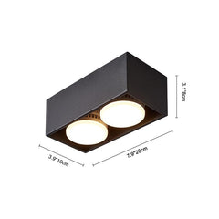 2-Light LED Mini Flush Mount Ceiling Light