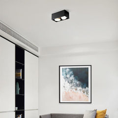 2-Light LED Mini Flush Mount Ceiling Light