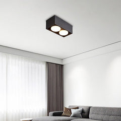 2-Light LED Mini Flush Mount Ceiling Light