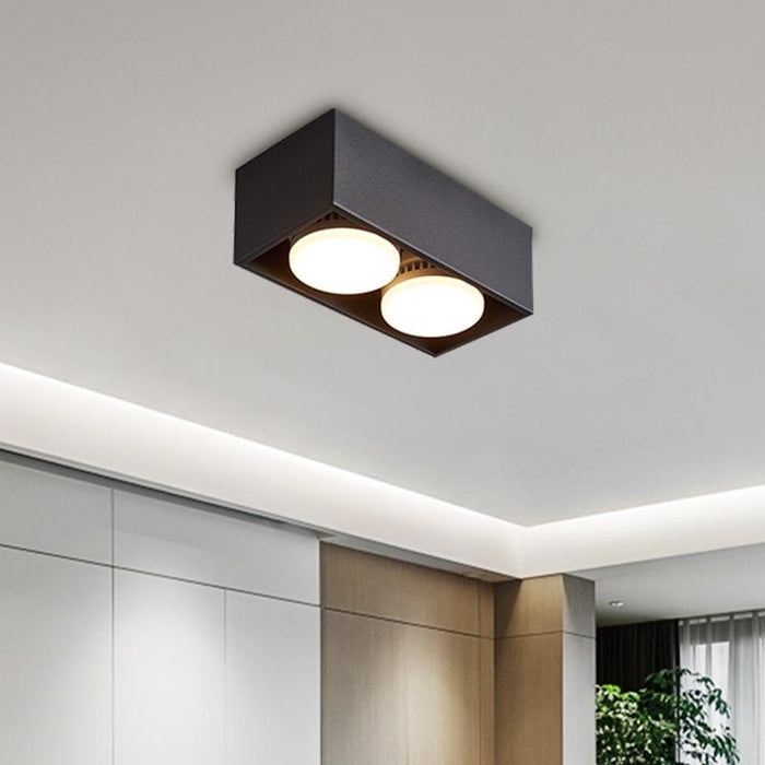 2-Light LED Mini Flush Mount Ceiling Light