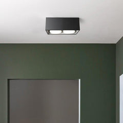 2-Light LED Mini Flush Mount Ceiling Light