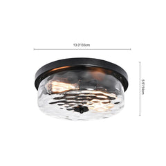 2 Light Seeded Glass Semi Flush Mount
