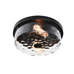 2 Light Seeded Glass Semi Flush Mount