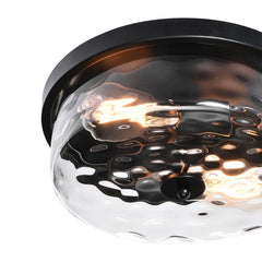 2 Light Seeded Glass Semi Flush Mount