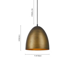 Antique Brass/Brown Egg Shaped Pendant Lighting