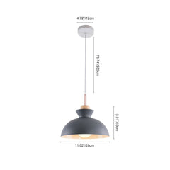 Craftsman Style 1-Light Single Dome Pendant Light