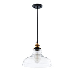 Industrial Dome Clear Glass Pendant Light
