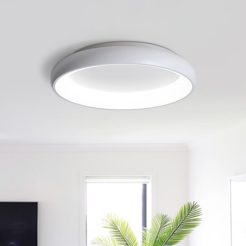 LED Round Flush Mount Ceiling Light