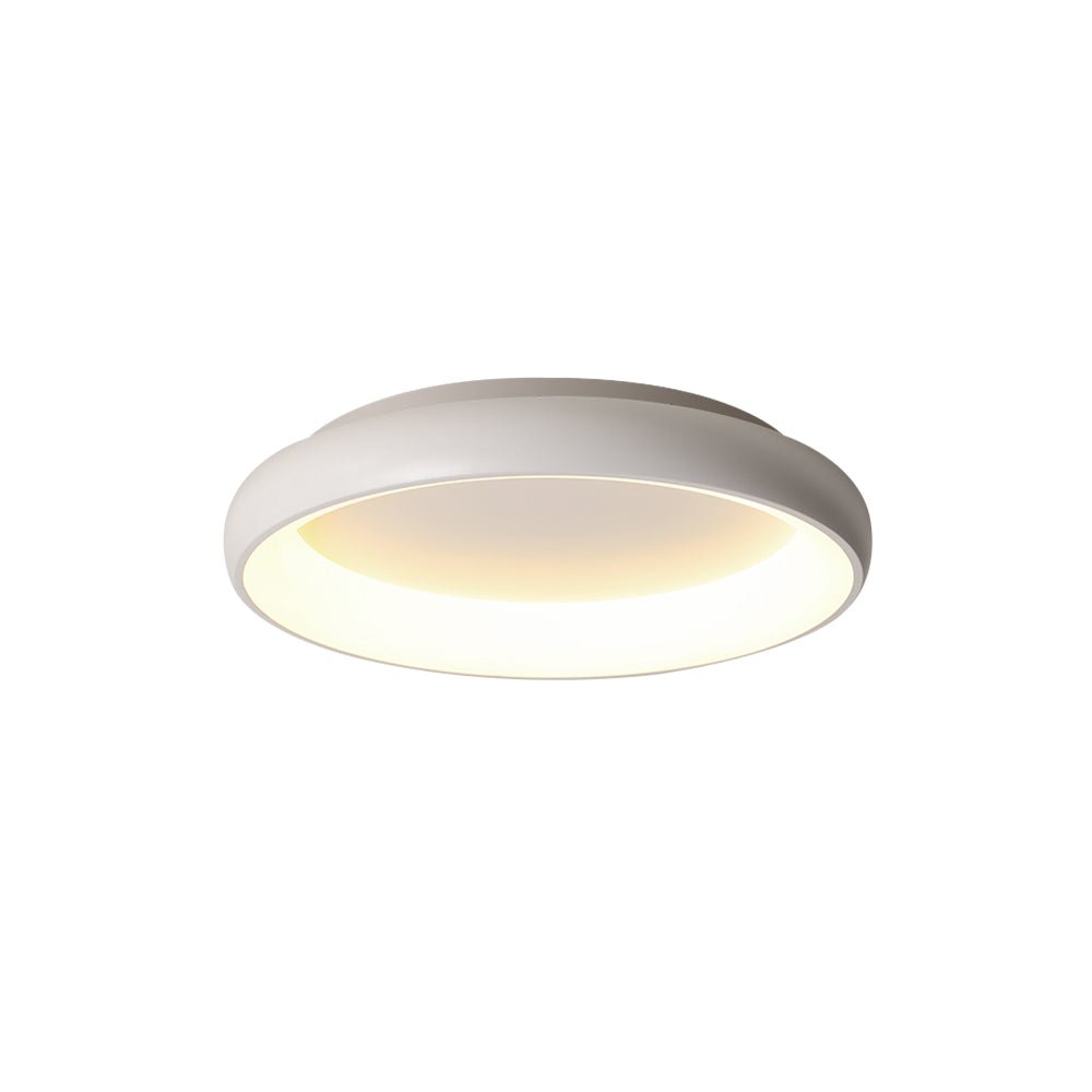 LED Round Flush Mount Ceiling Light