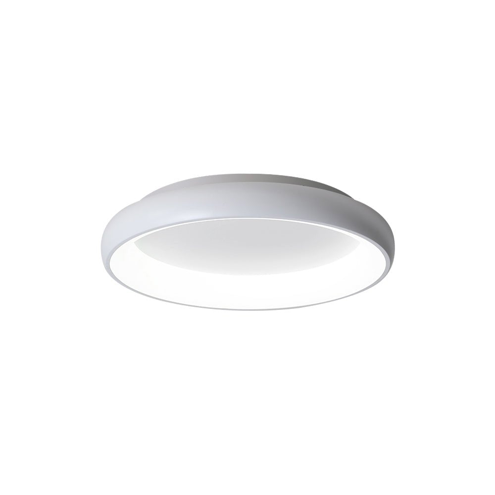 LED Round Flush Mount Ceiling Light