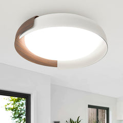Minimalist LED Acrylic & Metal Flush Mount