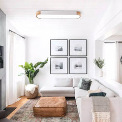 Modern Dimmable Integrated LED Ceiling Light