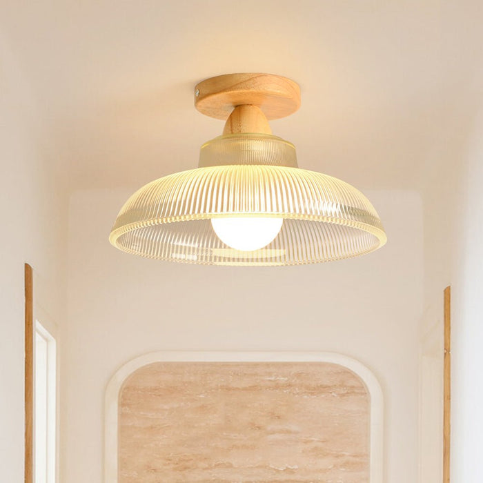Modern Farmhouse Glass Dome Flush Mount Ceiling